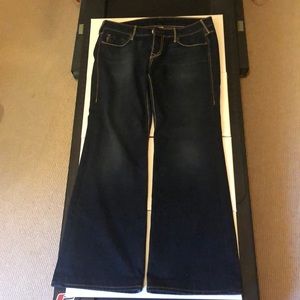 True Religion blue jean.